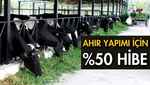 Ahır-ağıl yapımına verilen %50 hibe desteği başvuruları devam ediyor