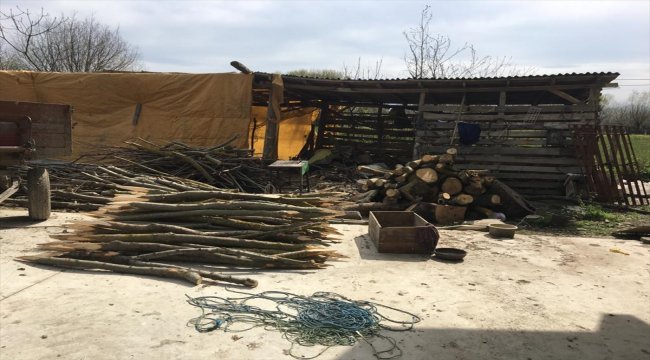 Alaçam'da kaçak orman emvali bulundu