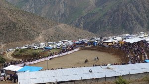Artvin'de boğa güreşi festivali
