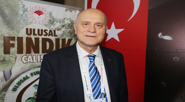 Fındık ihracatçısı alternatif pazar arayışında
