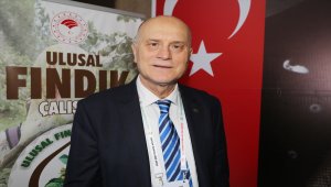 Fındık ihracatçısı alternatif pazar arayışında