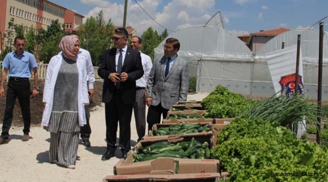 Hükümlüler cezalarını sebze üreterek çekiyor