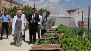 Hükümlüler cezalarını sebze üreterek çekiyor