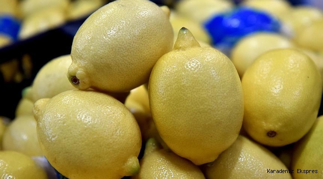 Meteorolojik verilerle rekolte tahmini limonla başladı