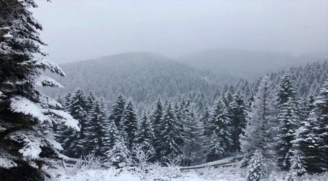 Ordu'da nisanda kar yağışı