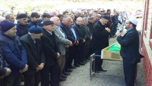 Ordu'da üzerine tomruk devrilerek ölen kişi toprağa verildi