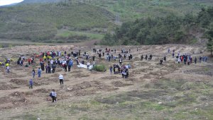 Reşadiye'de fidan dikim etkinliği