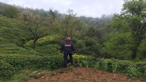 Rize'de kaybolan kadından 3 gündür haber alınamıyor