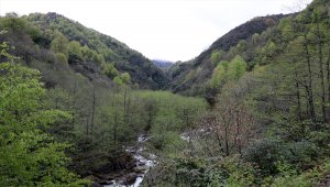 Rize'de köylülerden taş ocağı yapımına tepki