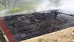 Sinop'ta ahır yangınında 5 büyükbaş hayvan telef oldu