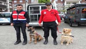 17 saatlik titiz çalışma mutlu sonla bitti