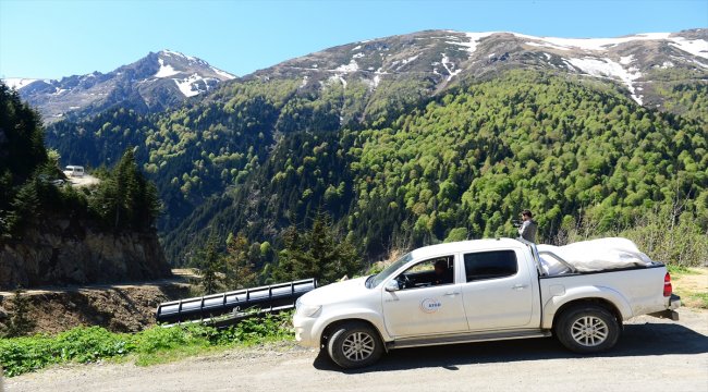 AA muhabirini arama çalışmaları yeniden başladı