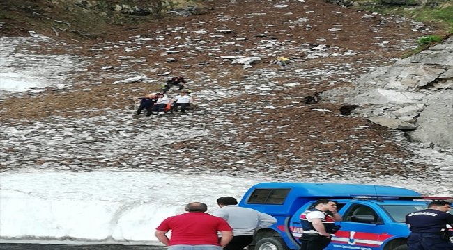 Artvin'de uçuruma düşen kişi hayatını kaybetti