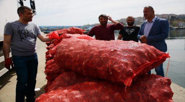 Balıkçılar yüzünü 