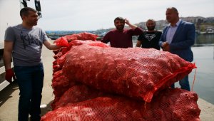 Balıkçılar yüzünü 