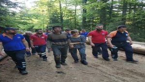 Bolu'da kaybolan kişi 9 gün sonra Karabük'te bulundu