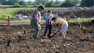 Düzce'de otomobil tutkunları 1919 fidan dikti