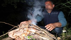Fındığa 