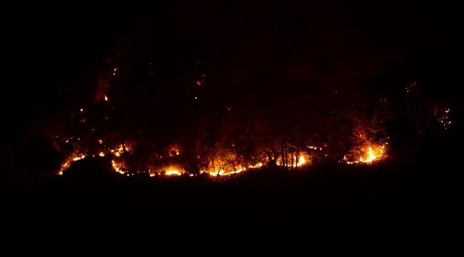 Giresun'da örtü yangını