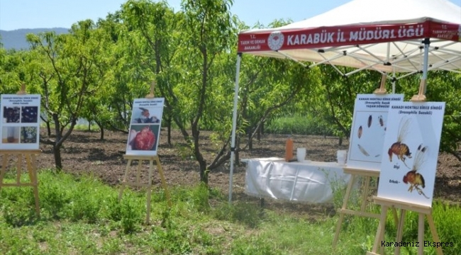 Karabük'ten kısa kısa