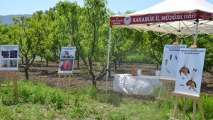 Karabük'ten kısa kısa