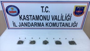 Kastamonu'da uyuşturucu operasyonu