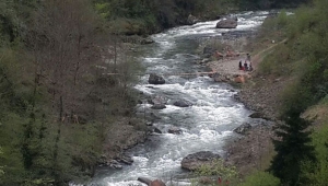 Ordu'da yaşlı kadın kayboldu