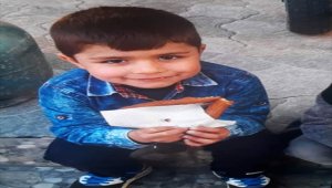 Rize'de kaybolan iki çocuk aranıyor