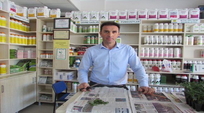 Samsun'dan kısa kısa