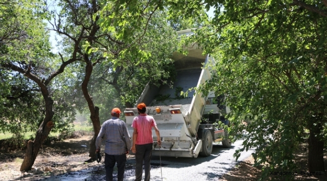 Şehit annesinin yol isteği yerine getirildi