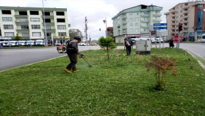 Terme’de park ve bahçelerde bahar temizliği