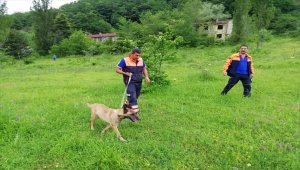 Zonguldak'ta kayıp kişiyi arama çalışmaları sürüyor