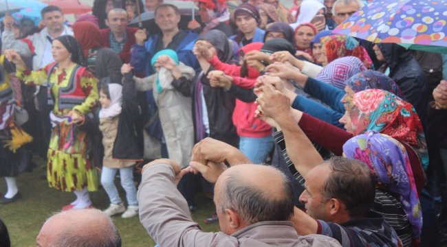 15. Dizgine Şenliği