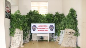 Düzce'deki uyuşturucu operasyonu