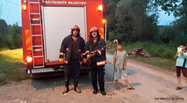 Elektrik trafosuna giren yılanı itfaiye çıkardı