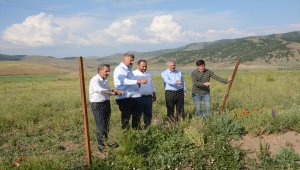 Erdoğdu, Satala Antik Kenti'nde incelemelerde bulundu