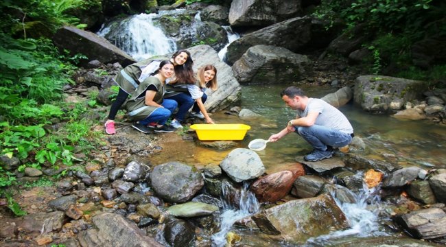 Giresun'da alabalık yavruları dereye salındı