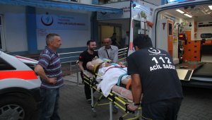 Giresun'da ayının saldırısına uğrayan çiftçi yaralandı