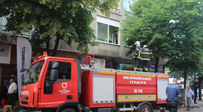 Ordu'da ağaçtan düşen kişi yaralandı