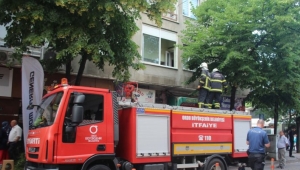 Ordu'da ağaçtan düşen kişi yaralandı