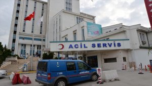 Ordu'da dananın boynuzla yaraladığı kişi öldü