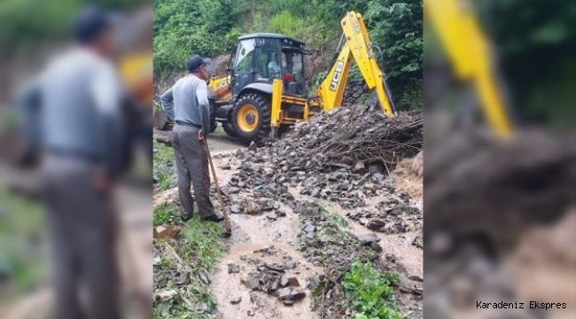 Ordu'da etkili olan yağış hasara yol açtı