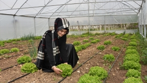 Ordu'da tarım ve hayvancılık destekleniyor