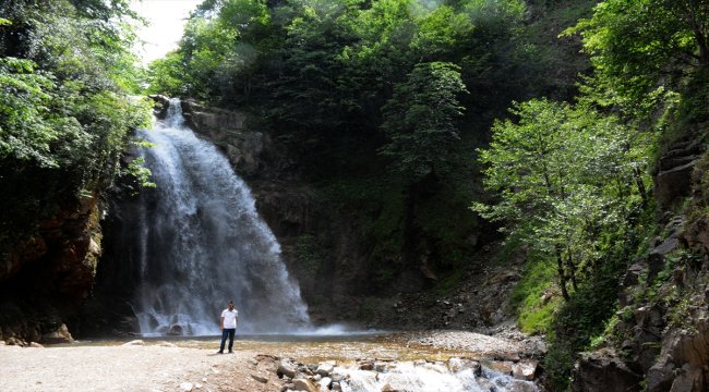 Örümcek Ormanları'ndaki şelale ziyaretçilerini bekliyor