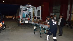 Samsun'da traktör devrildi: 3 yaralı