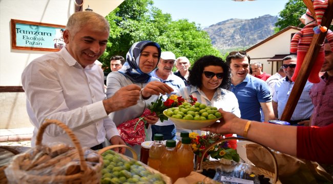 Tamzara ekolojik pazarı yeni sezonu açtı