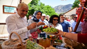 Tamzara ekolojik pazarı yeni sezonu açtı