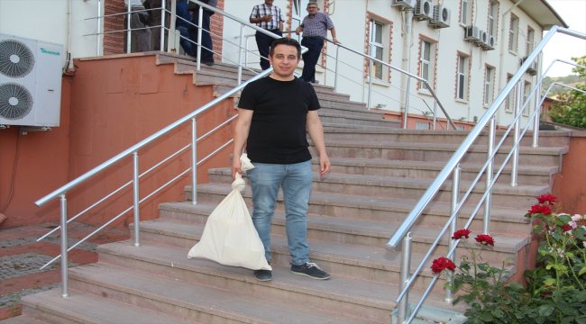 Taşova'da muhtarlık seçimi