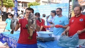 Zıpkınla Balık Avı Kulüplerarası Türkiye Şampiyonası