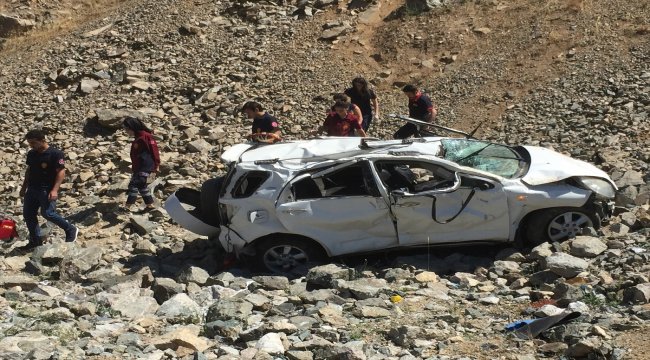 Tokat'ta mısır tarlasında bin 576 kök Hint keneviri ele geçirildi
